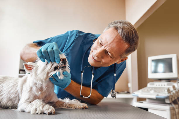 Best Emergency Wisdom Teeth Removal in Schererville, IN